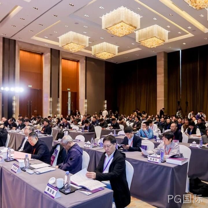 PG国际</a>参加2025智能微系统研讨会